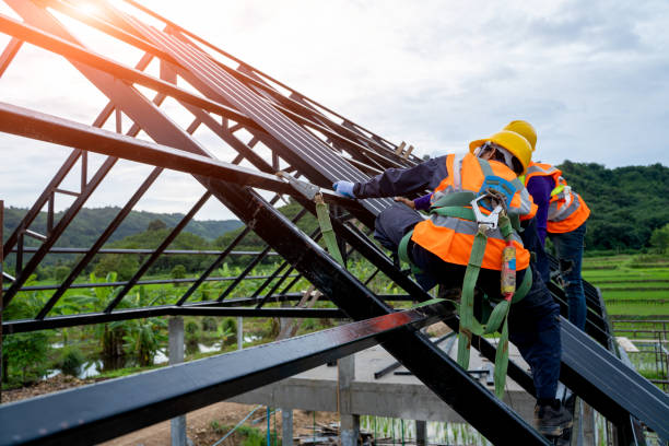 Best Metal Roofing Contractor  in Gallup, NM